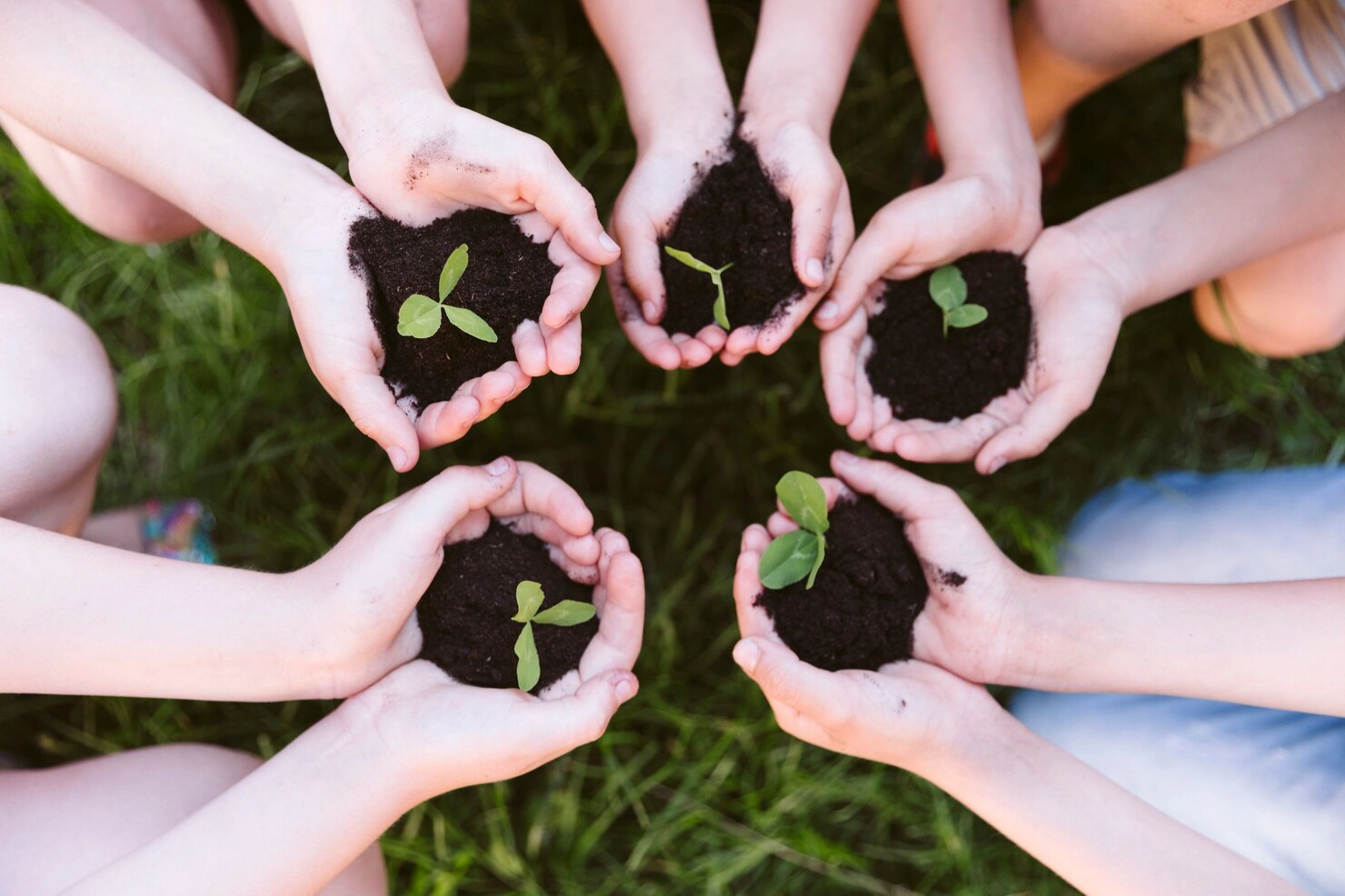 Capacitación Ambiental